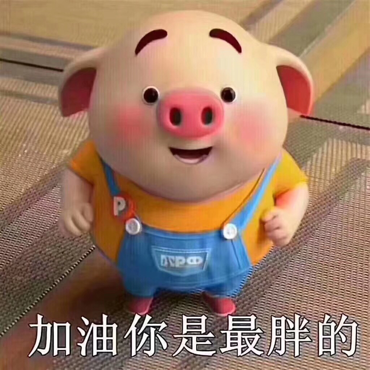 冲鸭!坚持住鸭!