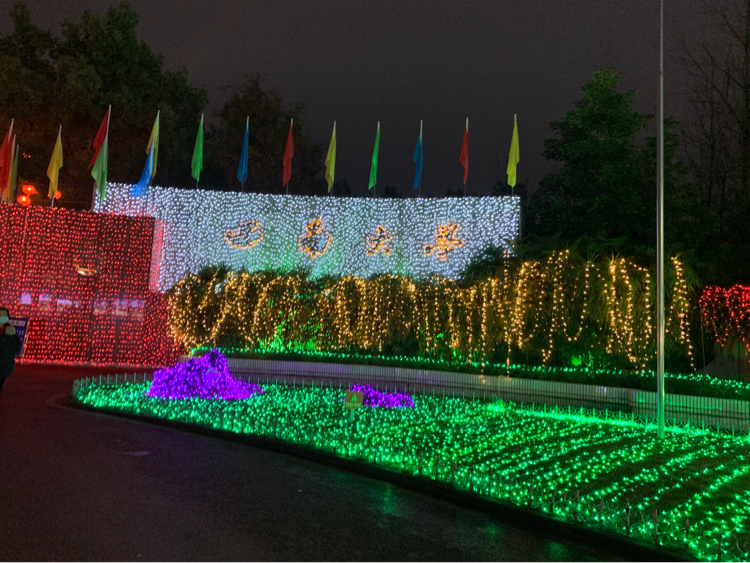 辞职四个月跨考西南大学教育学